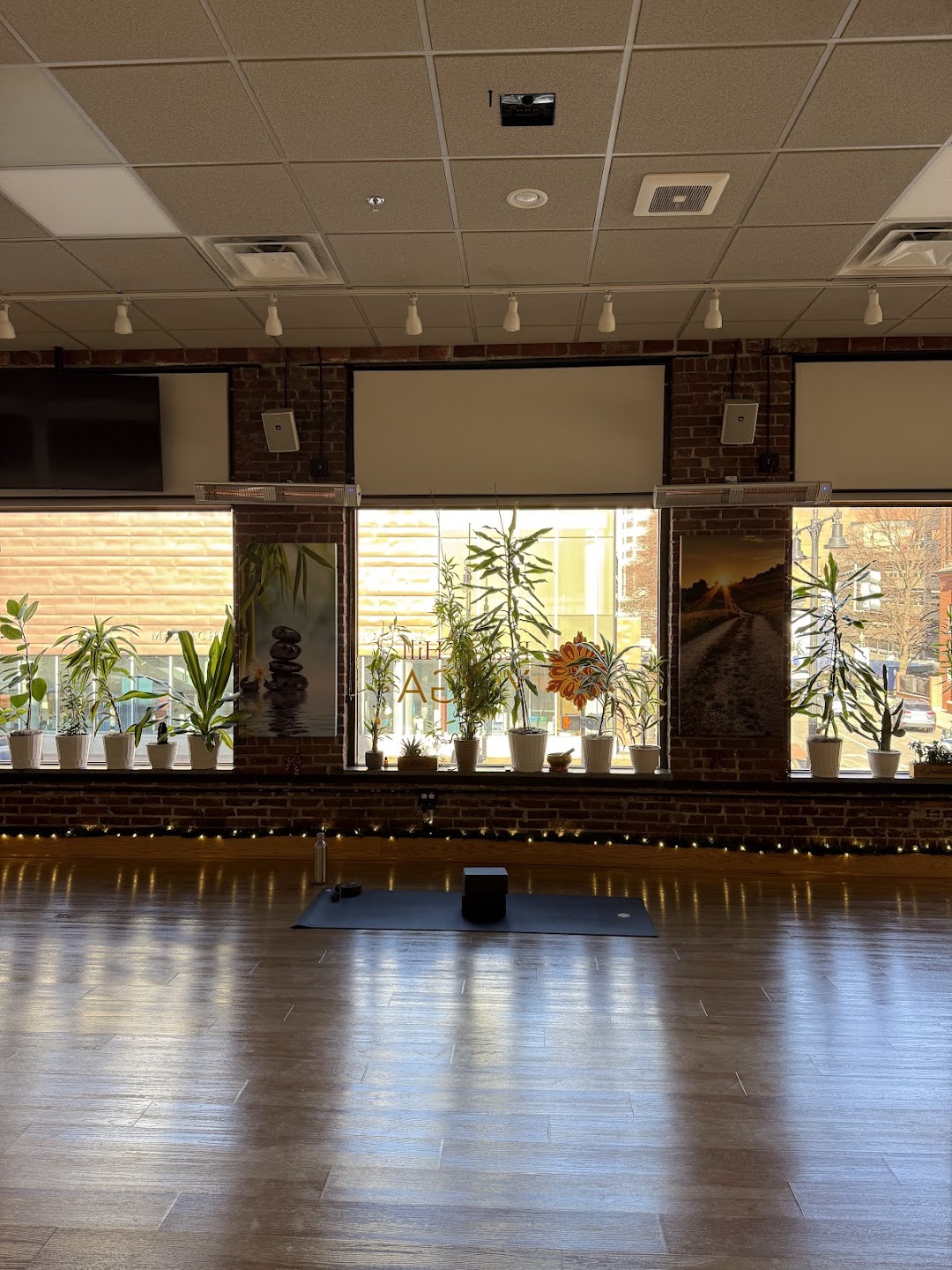 Beacon Hill Yoga