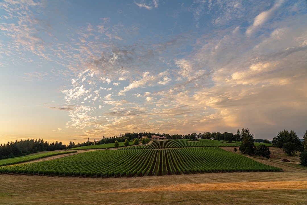 Domaine Serene Winery
