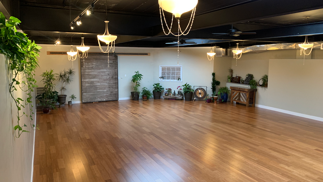 Lila Studio